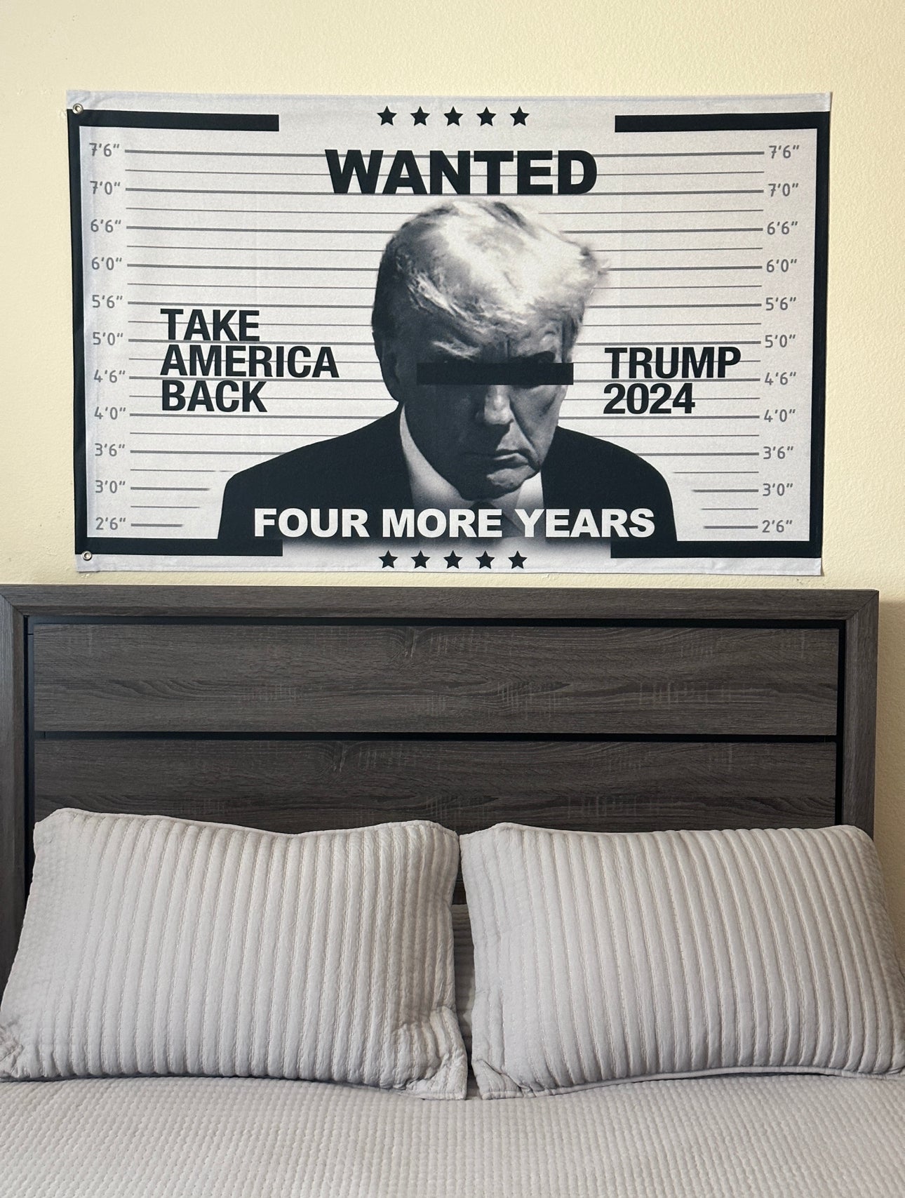 Take Back America Flag